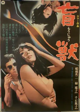 光影画廊：夜航